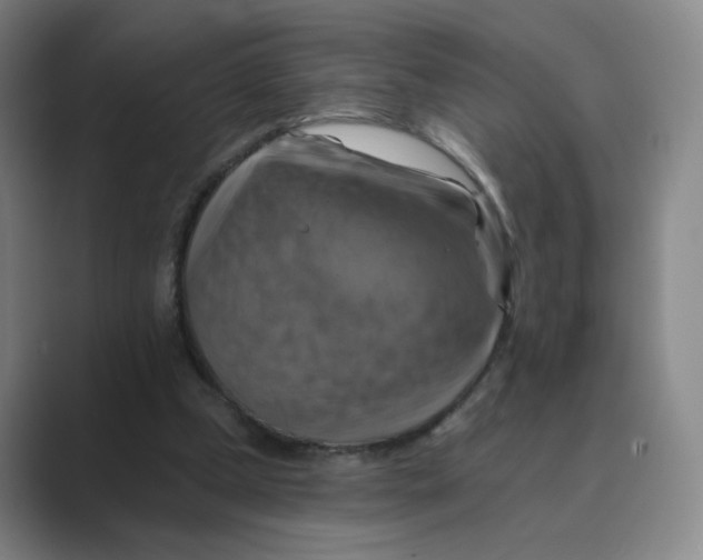 X0000088750249200706282211