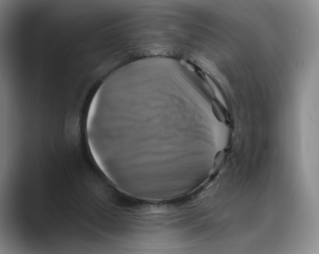 X0000088750250200706282211