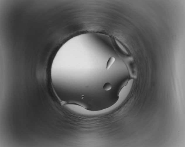 X0000088750252200706282211