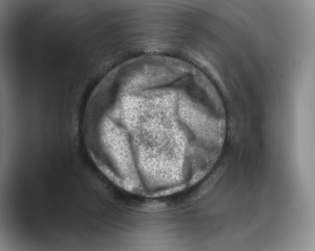 X0000088750257200706282211