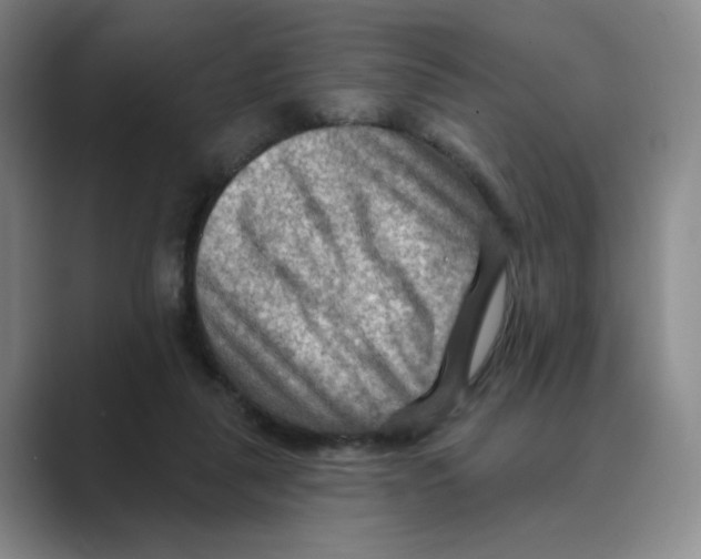 X0000088750259200706282211