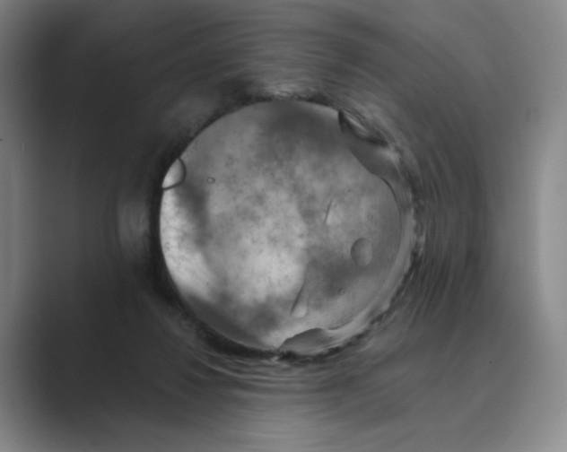 X0000088750260200706282211