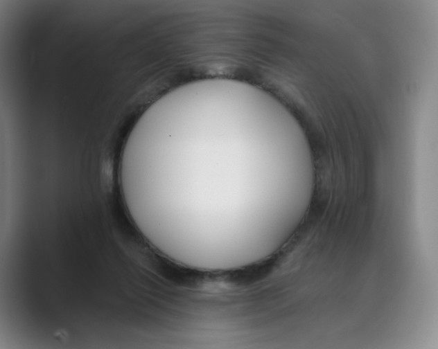 X0000088750262200706282211