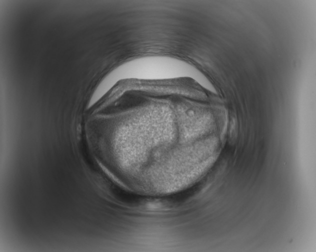 X0000088750264200706282211