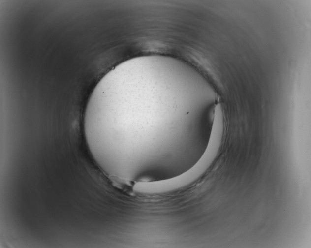 X0000088750265200706282211