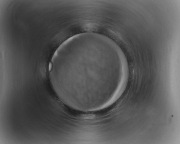 X0000088750266200706282211