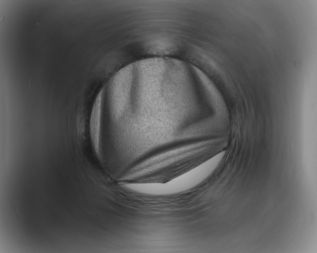 X0000088750268200706282211