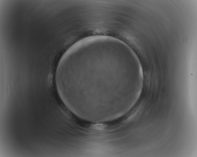 X0000088750269200706282211