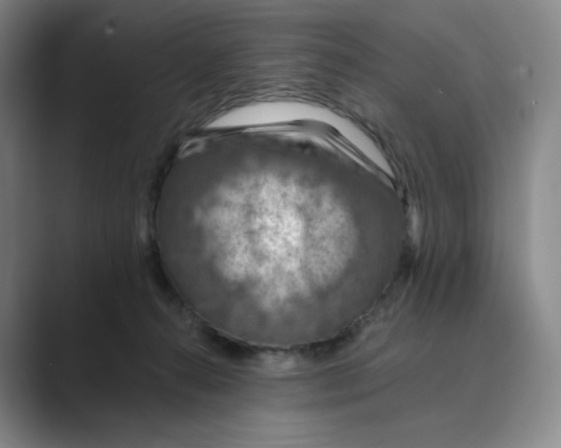 X0000088750272200706282211