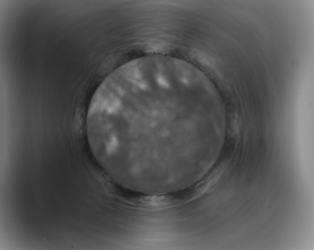 X0000088750273200706282211