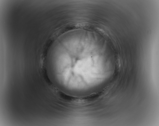 X0000088750276200706282211