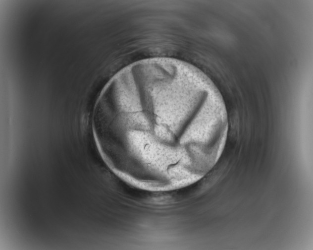 X0000088750278200706282211