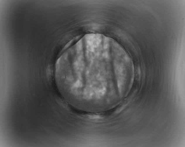 X0000088750284200706282211