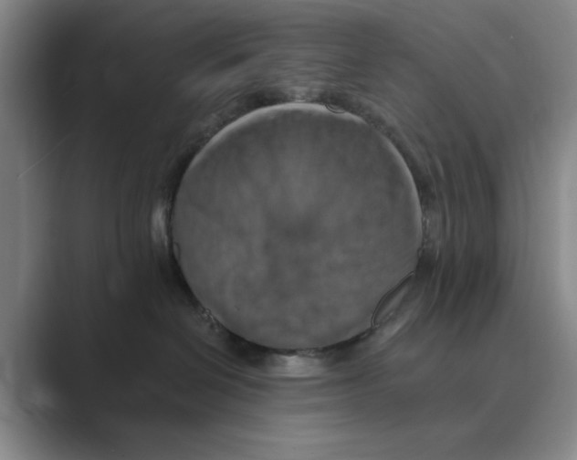 X0000088750286200706282211