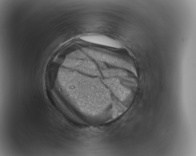 X0000088750290200706282211