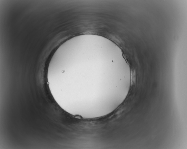 X0000088750291200706282211