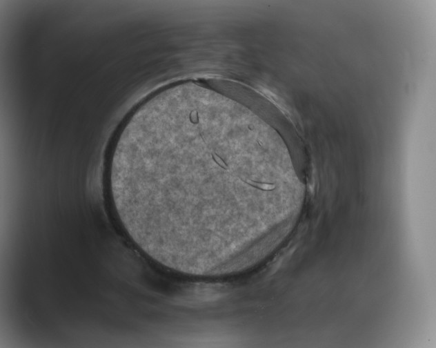 X0000088750292200706282211