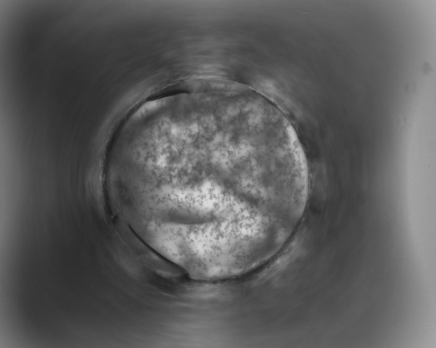 X0000088750293200706282211