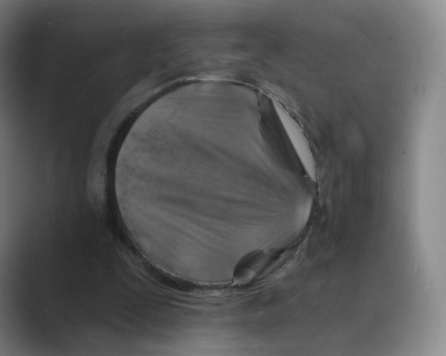 X0000088750295200706282210