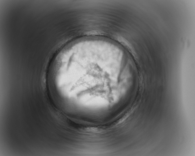 X0000088750298200706282210