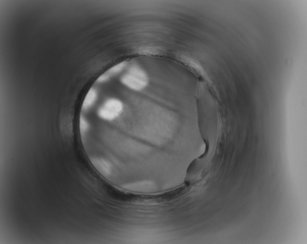 X0000088750299200706282210