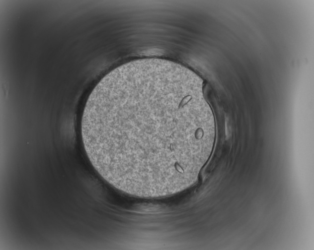 X0000088750300200706282210