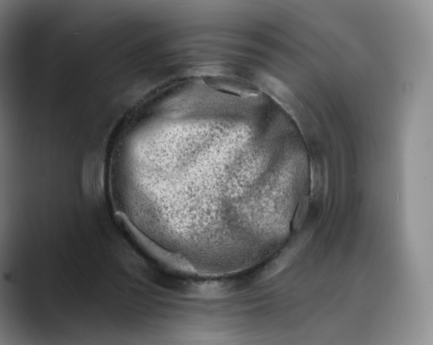 X0000088750301200706282210