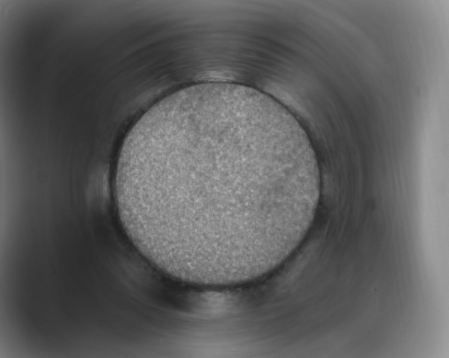 X0000088750302200706282210