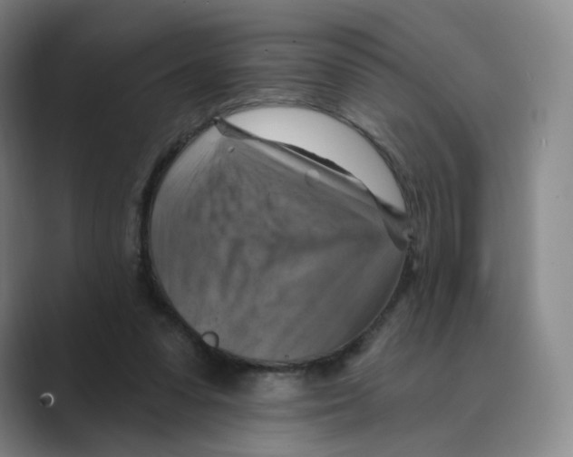 X0000088750303200706282210