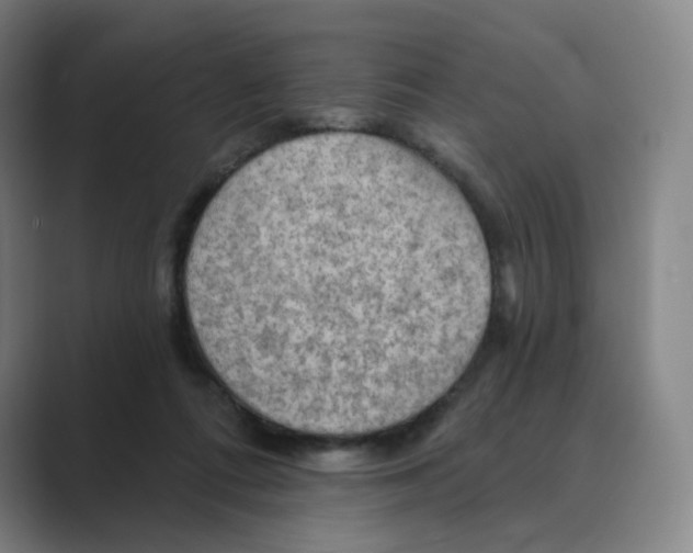 X0000088750312200706282210