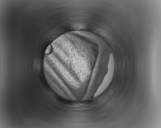 X0000088750315200706282210