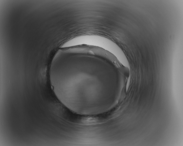 X0000088750319200706282210