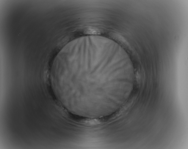 X0000088750322200706282210