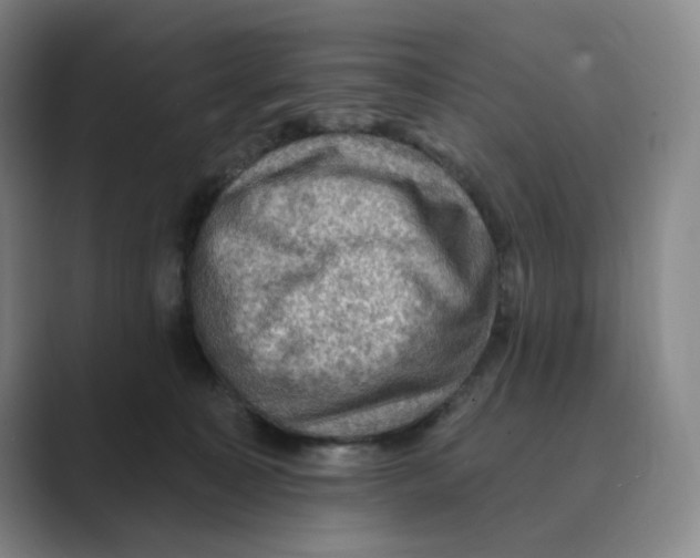 X0000088750323200706282210