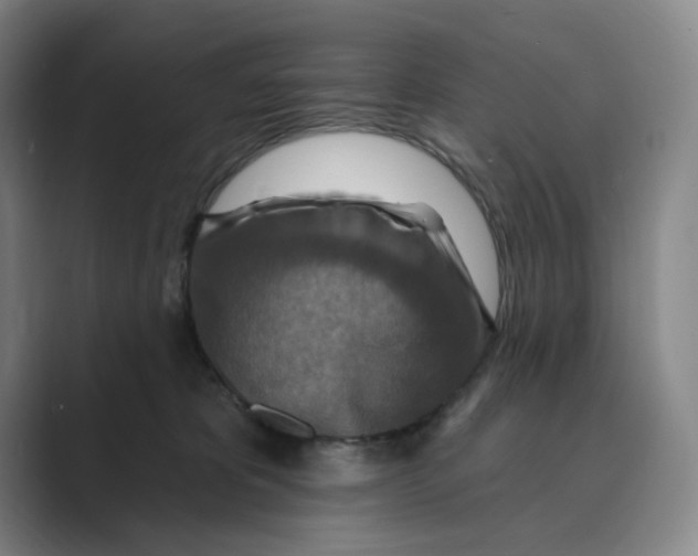 X0000088750325200706282210