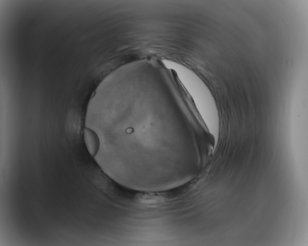 X0000088750331200706282210