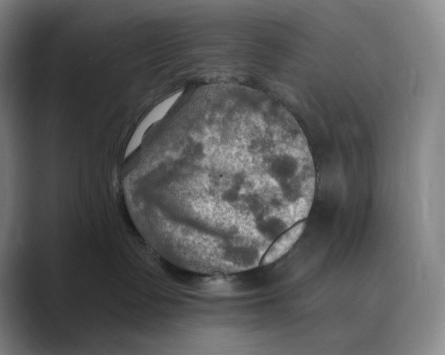 X0000088750335200706282210