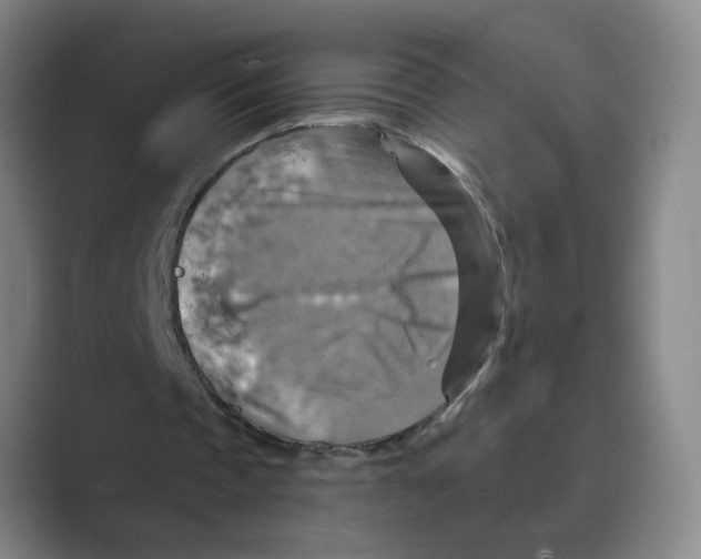 X0000088750337200706282209