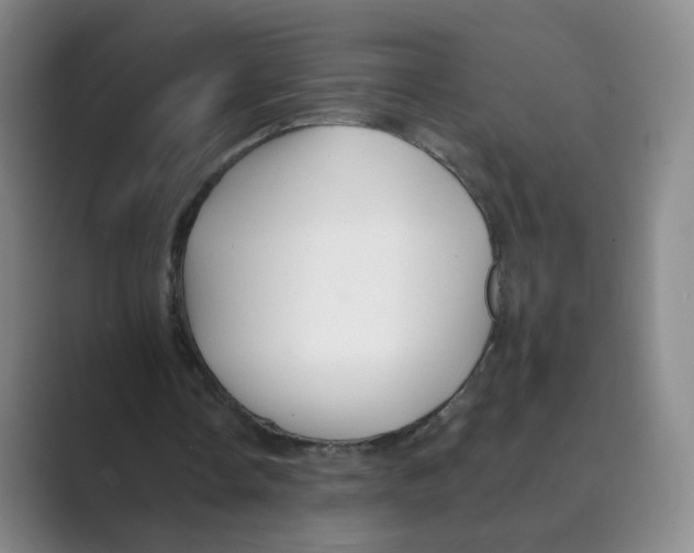 X0000088750338200706282209