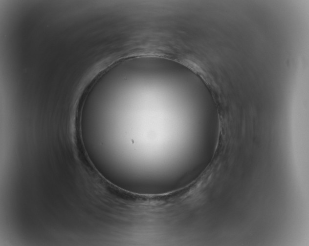 X0000088750340200706282209