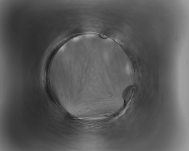 X0000088750343200706282209