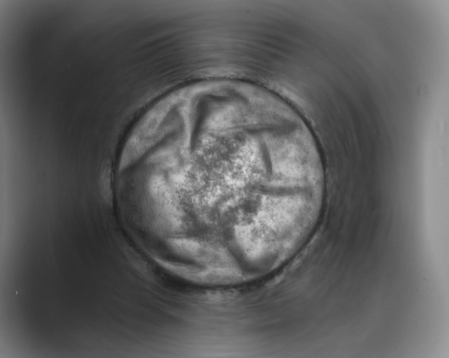 X0000088750345200706282209