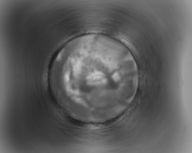 X0000088750346200706282209