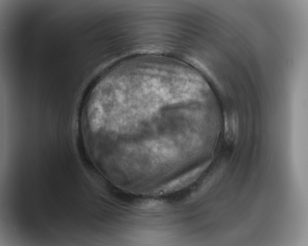 X0000088750348200706282209