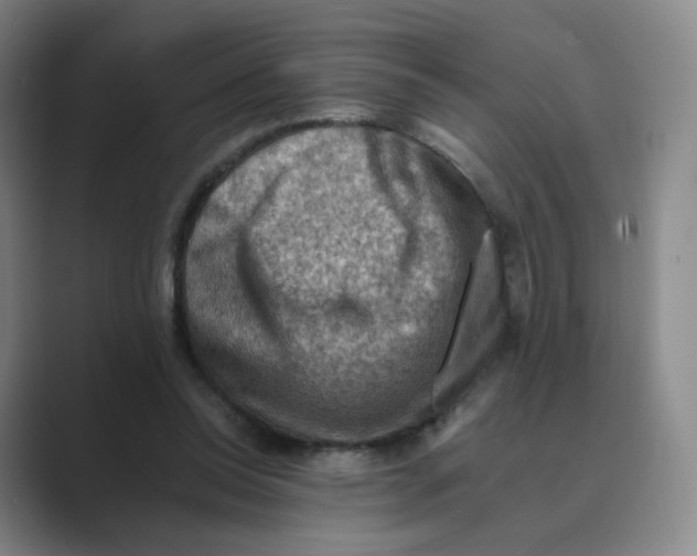 X0000088750350200706282210