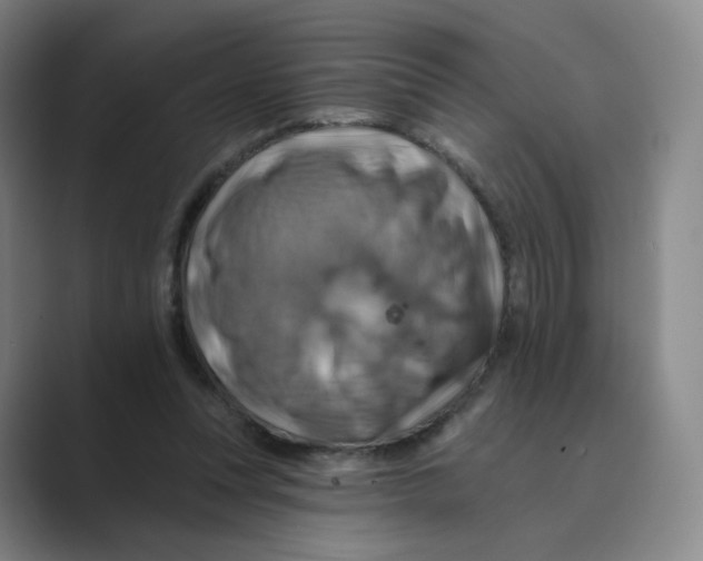 X0000088750351200706282210