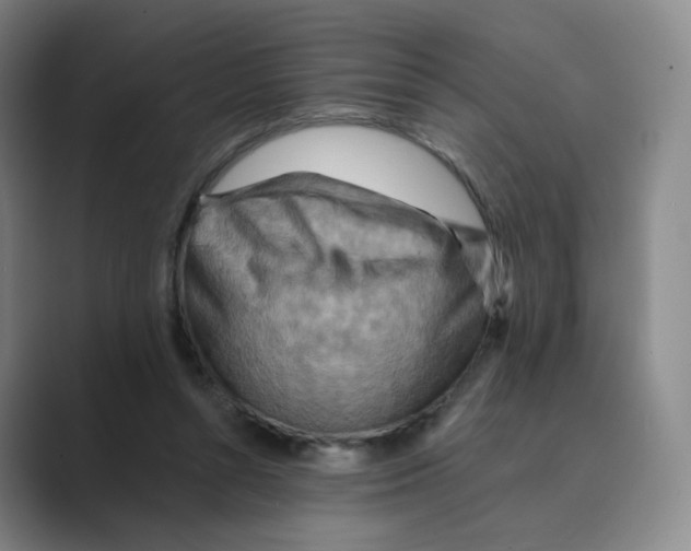 X0000088750352200706282210