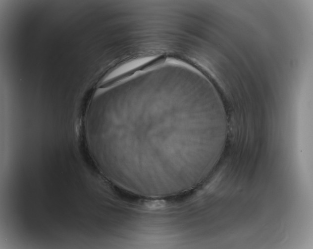 X0000088750355200706282210