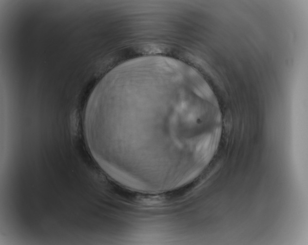 X0000088750359200706282210