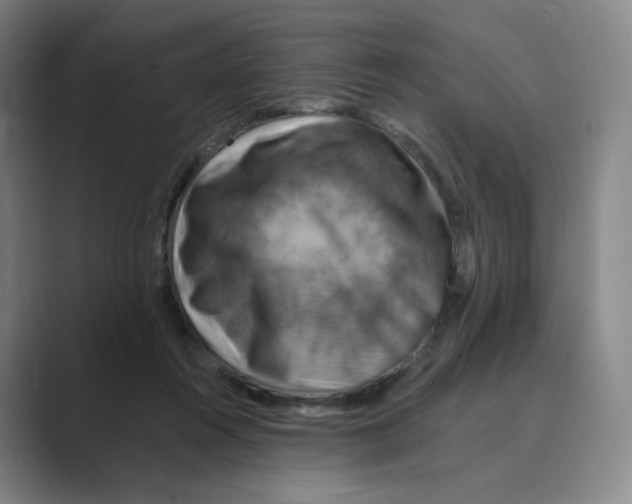 X0000088750360200706282210